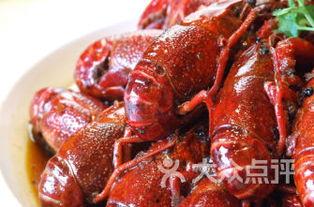 龙虾最新爆料视频大全,揭秘幕后真相，精彩瞬间大盘点